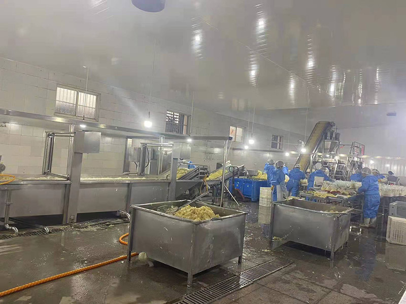 大姜脫皮切片漂洗蒸煮流水線